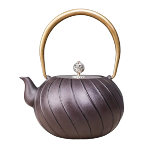 bouilloire en fonte tetsubin non emaille 12l
