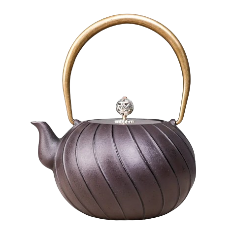 bouilloire en fonte tetsubin non emaille 12l