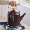 bouilloire induction design scandinave 22l 2