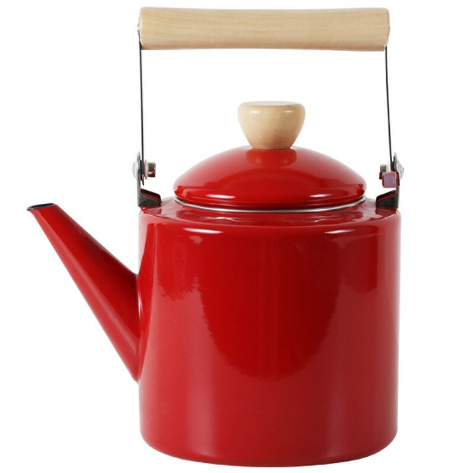 bouilloire induction design scandinave 22l 2