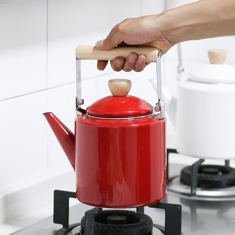 bouilloire induction design scandinave 22l