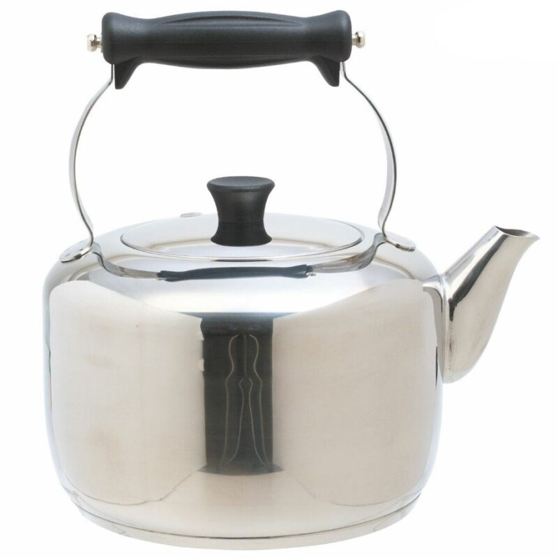 bouilloire induction inox masterclass 2l