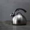 bouilloire sifflante design 25l