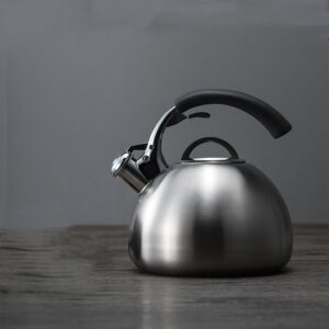 bouilloire sifflante design 25l