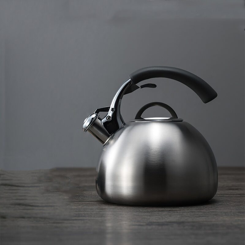 bouilloire sifflante design 25l