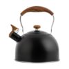 bouilloire sifflante induction 25l