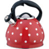 bouilloire sifflante vintage 3l