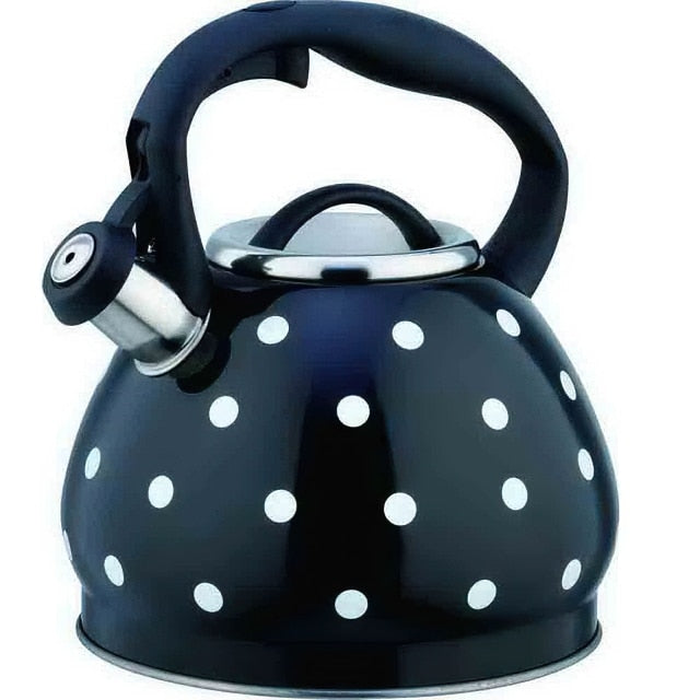 bouilloire sifflante vintage 3l 3