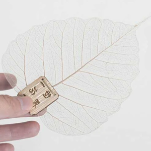 filtre a the feuille de bodhi filtre a the feuille de bodhi