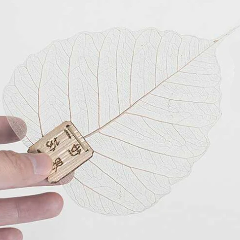 filtre a the feuille de bodhi