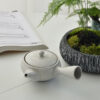 theiere en ceramique kyusu japonais 200ml 3
