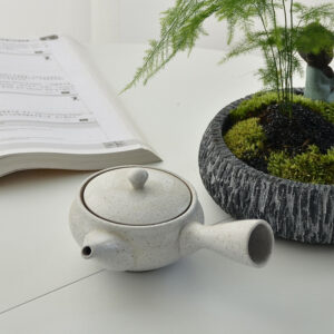 theiere en ceramique kyusu japonais 200ml 3 theiere en ceramique kyusu japonais 200ml 3