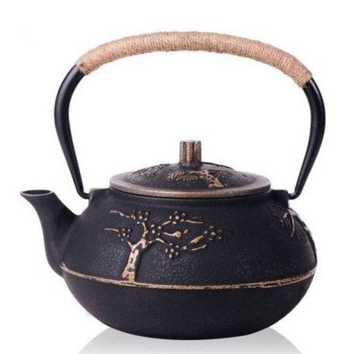 theiere en fonte chinoise 800ml