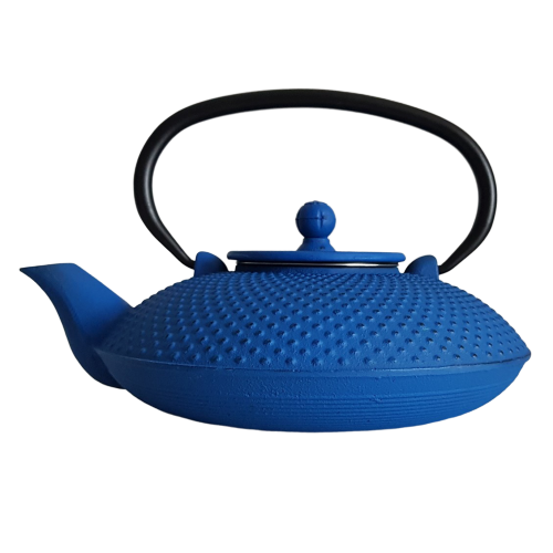 theiere en fonte nature et decouvertes 800ml