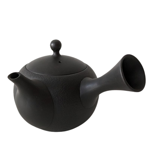 theiere japonaise tokoname kyusu 290ml