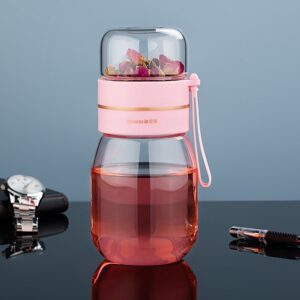 theiere nomade en verre 450ml 2